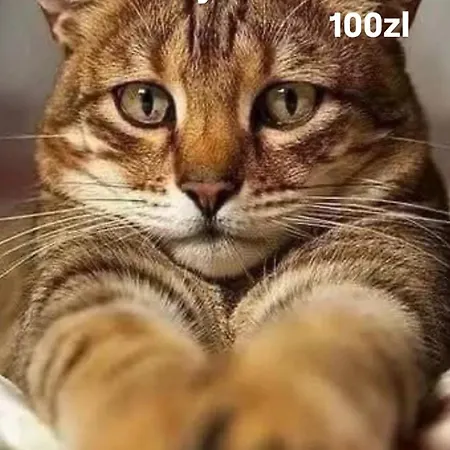 Centrum Bagno3 Parking