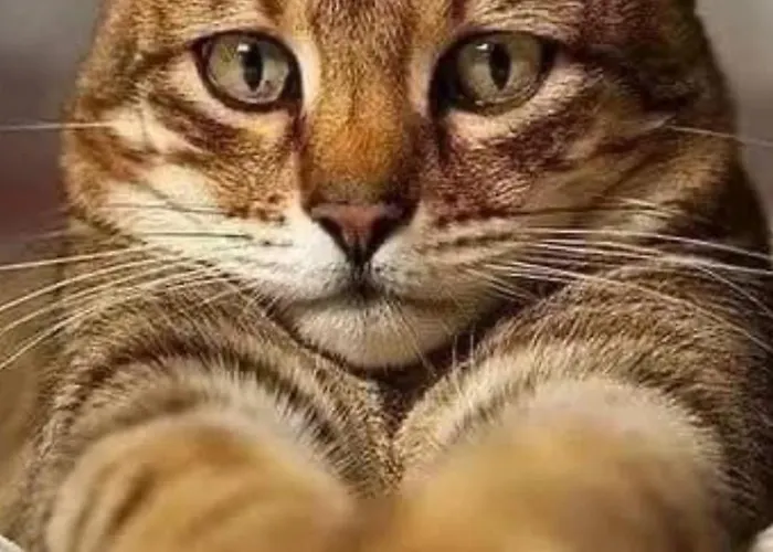 Centrum Bagno3 Parking